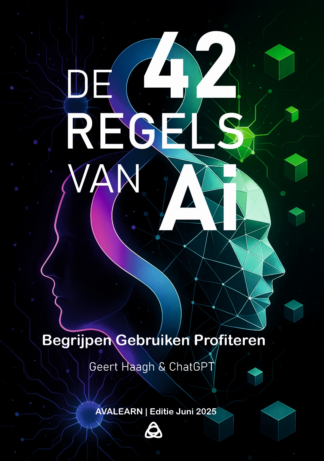 E-Book Cover: De 42 Regels van AI